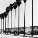 Pueblo del Rio Housing Project, Los Angeles, CA: Photographer: Louis Clyde Stoumen, Los Angeles Public Library