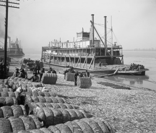 unloading cotton Memphis TN