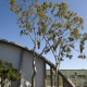 Marina del Rey Middle School, gymnasium: Photographer, Chris Fitzgerald, 2010, Paul Revere Williams Project