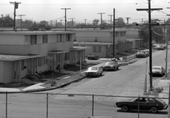 Nickerson Gardens Housing Project, 1979: UCLA, Charles E. Young Research Library, Department of Special Collections, Los Angeles Times Photographic Archive