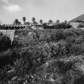 Taliesin West