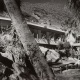 Tennis Club, Palm Springs, CA: Julius Shulman Photographic Archive, Research Library, The Getty Research Institute